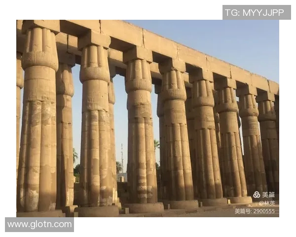 骨头收集者的奇幻冒险与神秘遗迹探寻之旅