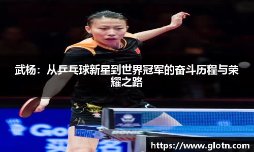 武杨：从乒乓球新星到世界冠军的奋斗历程与荣耀之路